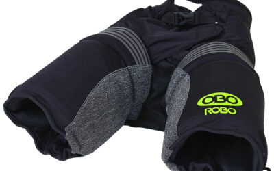 Obo Robo Borded Shorts