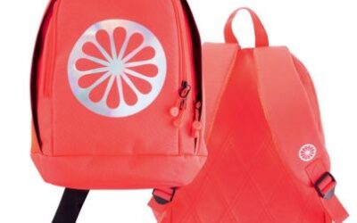 Indian Kids Backpack CSS – pink