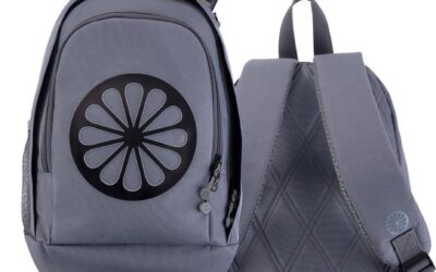 Indian Kids Backpack CSE – grey